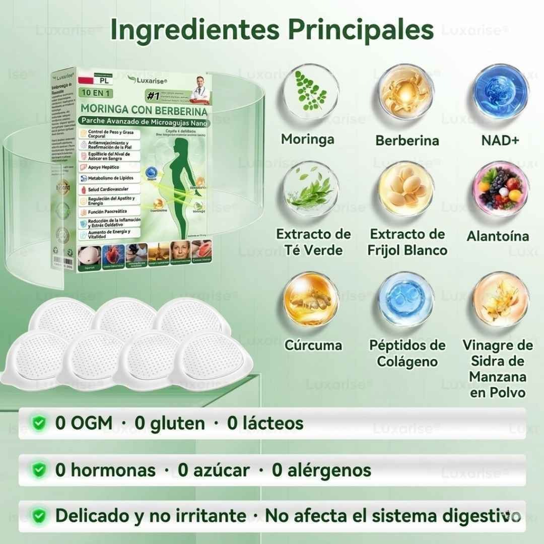 PARCHES AVANZADOS NATURALES MORINGA CON BERBERINA X 30