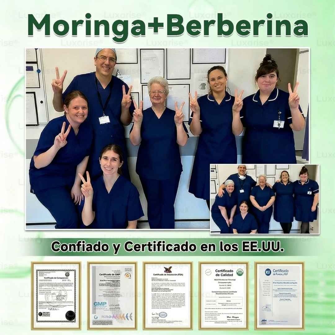 PARCHES AVANZADOS NATURALES MORINGA CON BERBERINA X 30