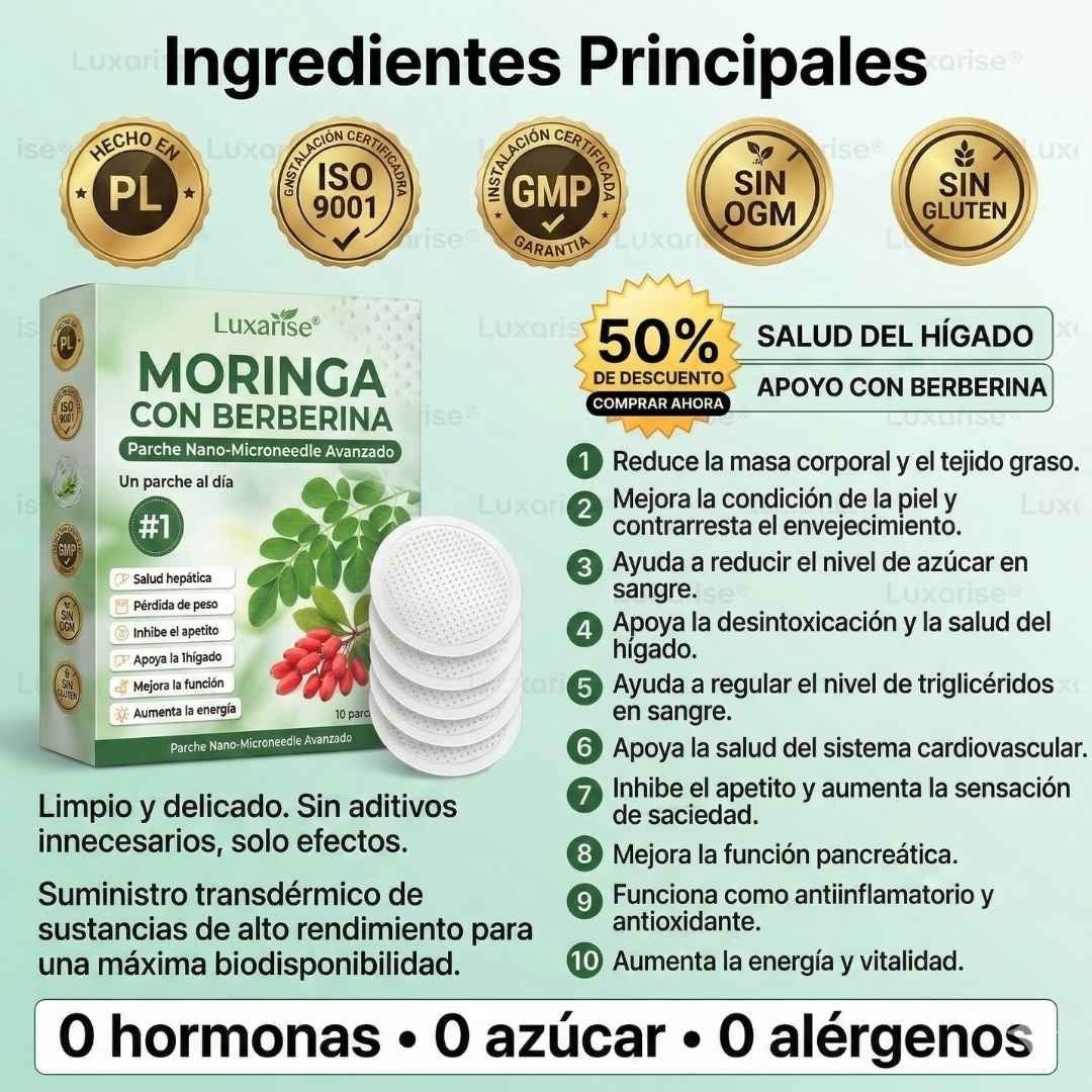 PARCHES AVANZADOS NATURALES MORINGA CON BERBERINA X 30