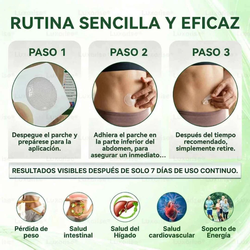 PARCHES AVANZADOS NATURALES MORINGA CON BERBERINA X 30