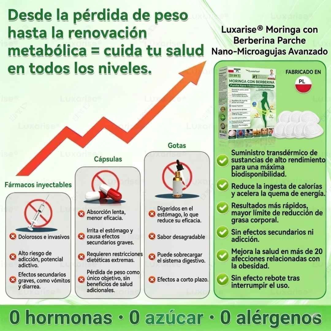 PARCHES AVANZADOS NATURALES MORINGA CON BERBERINA X 30
